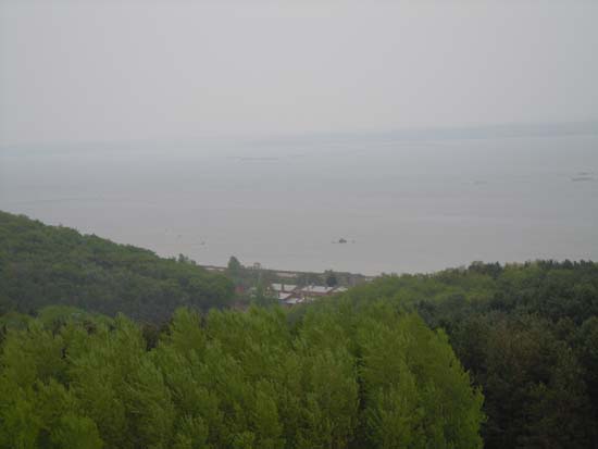 ��԰��ɫ���