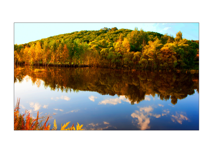 ������ߵ��Ȫ�����ж���